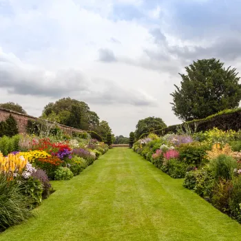 View How To Bring Your Lawn Back To Life